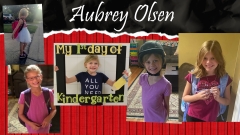 OlsenSlide